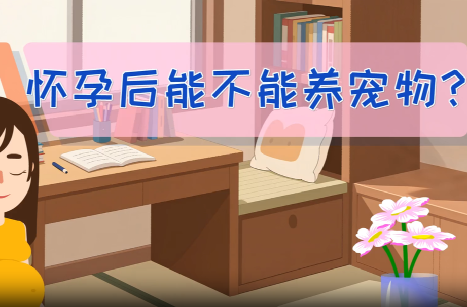 视频｜怀孕后能不能养宠物