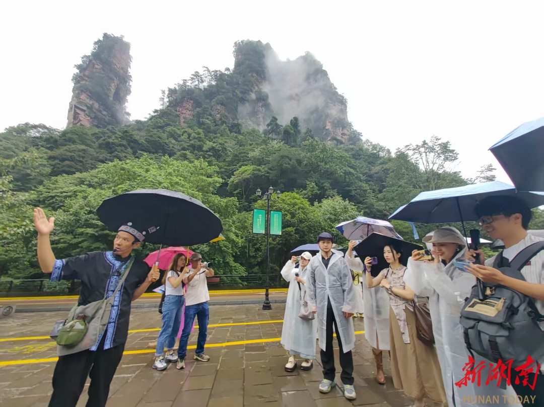 20名重慶網(wǎng)絡(luò)達(dá)人打卡張家界國家森林公園