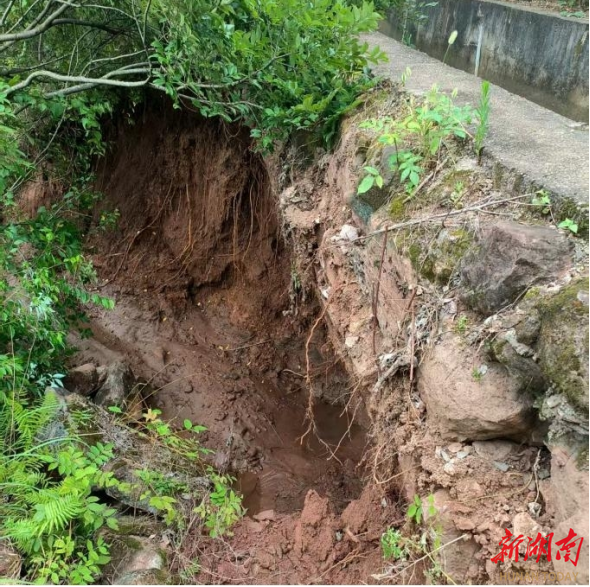 冠市镇5200余亩水稻正值抽穗期  衡南县：汩汩清水润农田