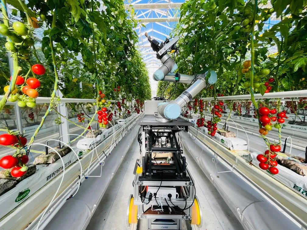 創(chuàng)新性突破！世界首臺，研制成功