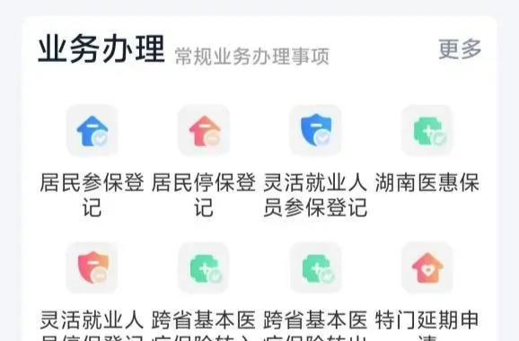 一键搞定！“湘医保”新功能上线，参保停保秒办结