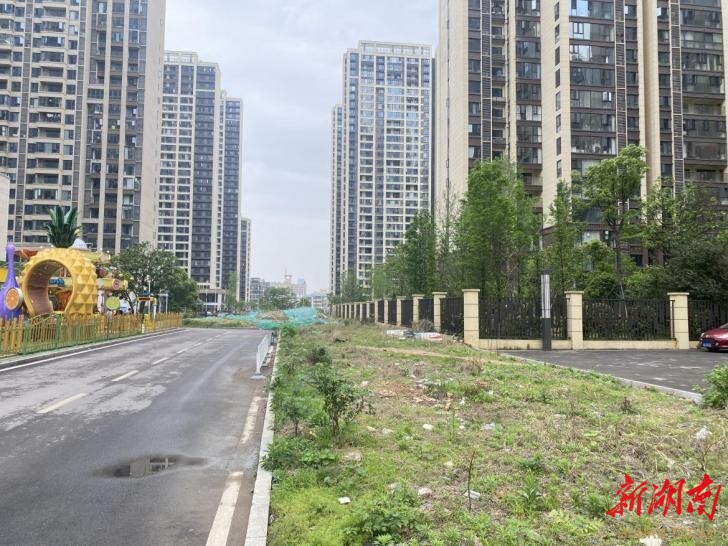 圭塘街道破局“断头路”：国友路贯通，畅通民生幸福路