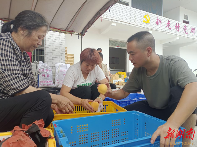 炎陵县十都镇：党建引领“云”上发力，激活乡村振兴新动能