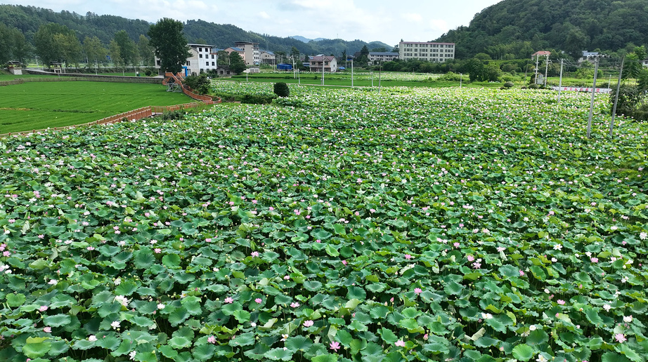 全省首例“国有建设用地+VEP贷款”项目落地靖州