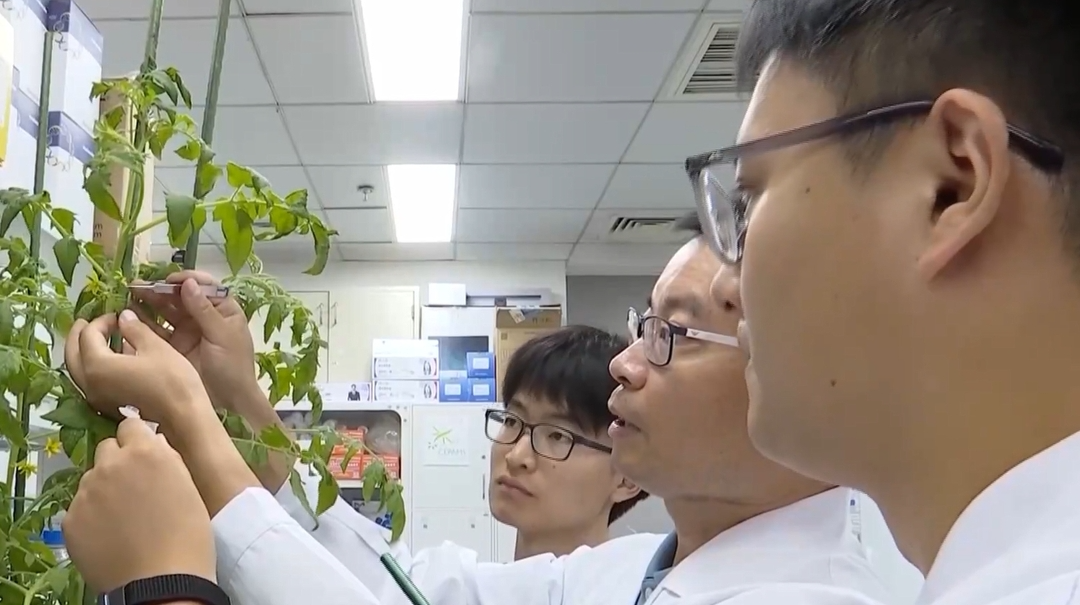 我国研制出世界首台智能育种机器人“吉儿” 取得重要突破