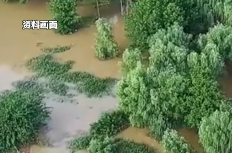華聲視頻|水利部對湖南等省市啟動洪水防御Ⅳ級響應
