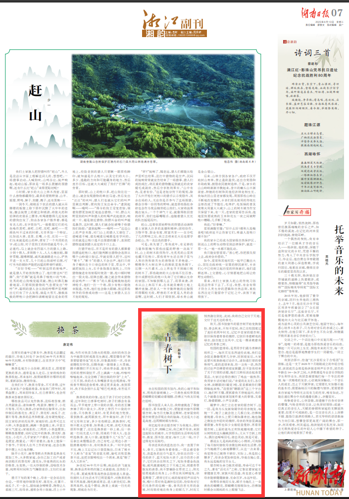 湘江副刊·湘韻丨青春樹下