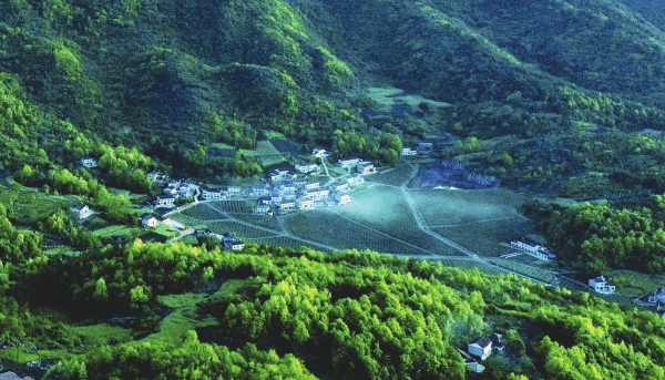 湘江副刊·湘韻丨趕 山