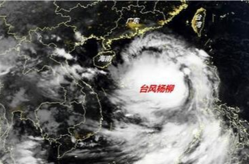 台风“杨柳”今夜将再次登陆 多地已停运停航 防范避险指南请查收