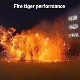 Performance of the Fire Tiger: Watch the 