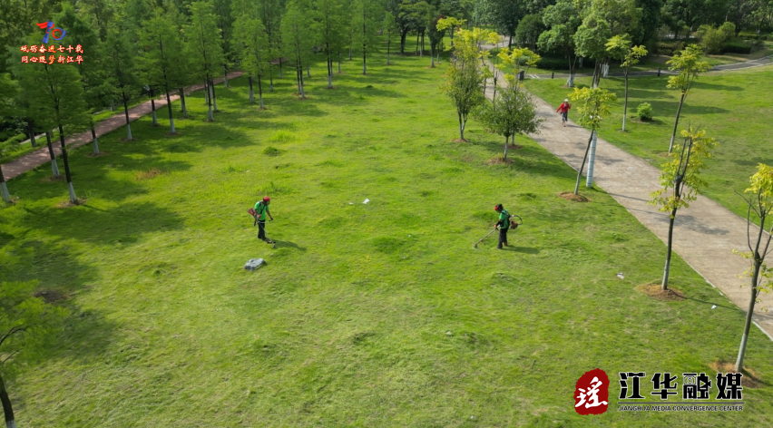 江华城市园林绿化服务中心：多措并举抗旱保绿 筑牢城市生态屏障