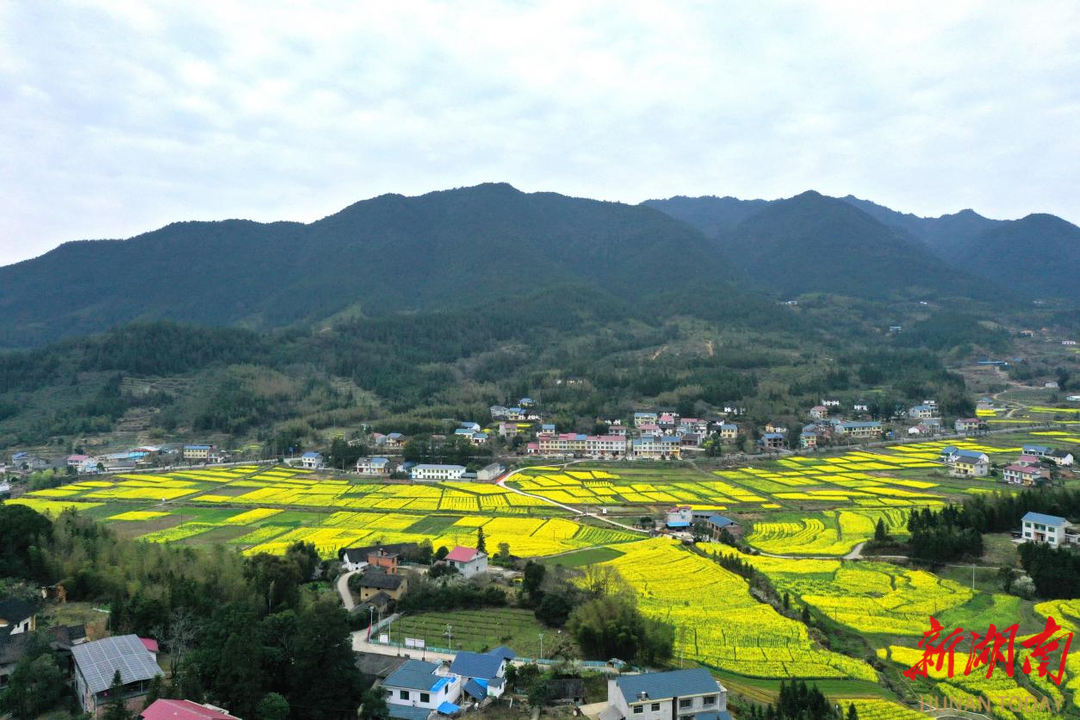 炎陵縣梅崗村入選2025年度省級美麗鄉(xiāng)村重點建設(shè)村名單