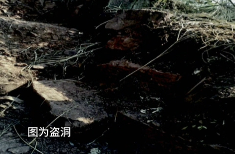 古塔挖宝致明清文物彻底性破坏，法院：判刑+赔偿！