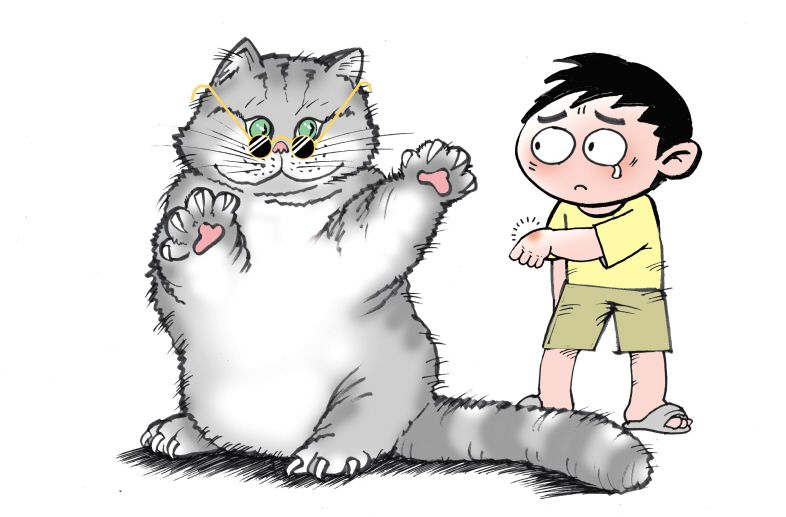 14岁女孩高热不退，竟是“猫抓病”捣蛋