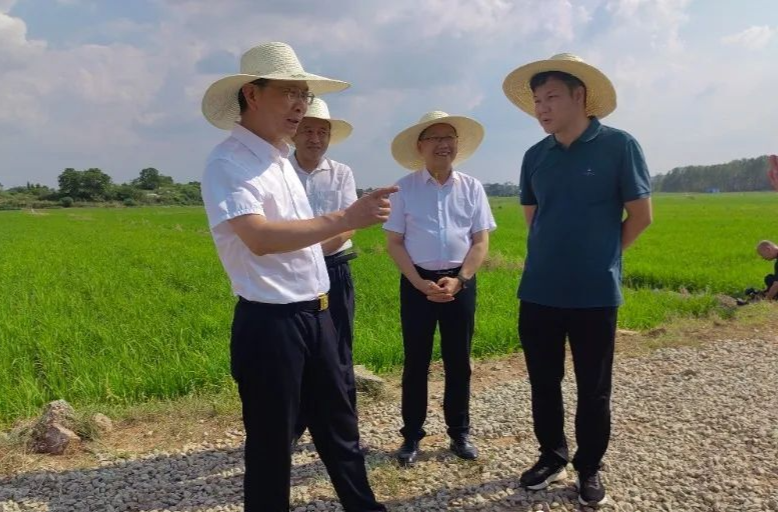陳恢清在茶陵縣調研鄉(xiāng)村振興等工作