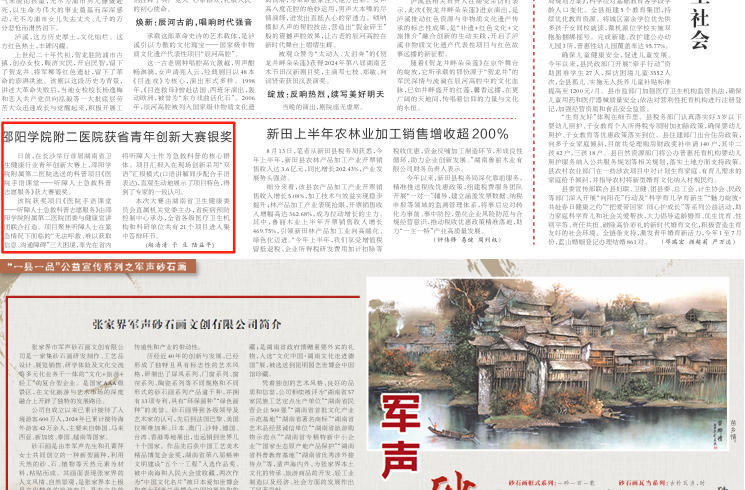 邵陽學(xué)院附二醫(yī)院獲省青年創(chuàng)新大賽銀獎