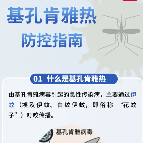 湖南疾控發(fā)布“基孔肯雅熱”防控指南