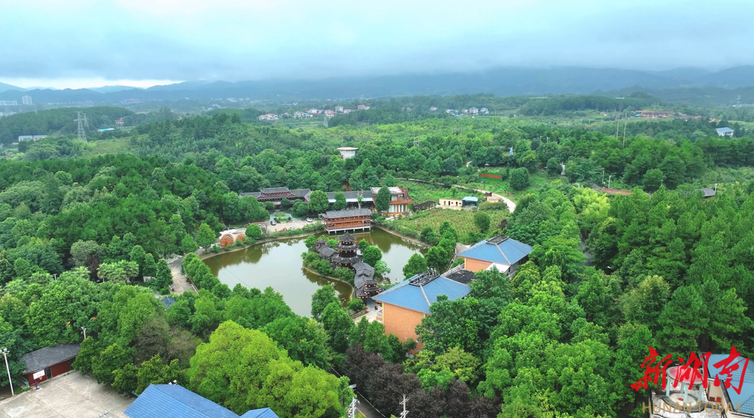 【福地懷化·康養(yǎng)季】懷化：雪峰山佳肴?天麻燉烏雞