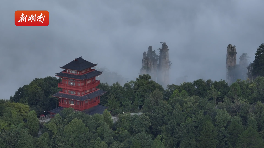雨后初霁，张家界天子山云涛漫卷