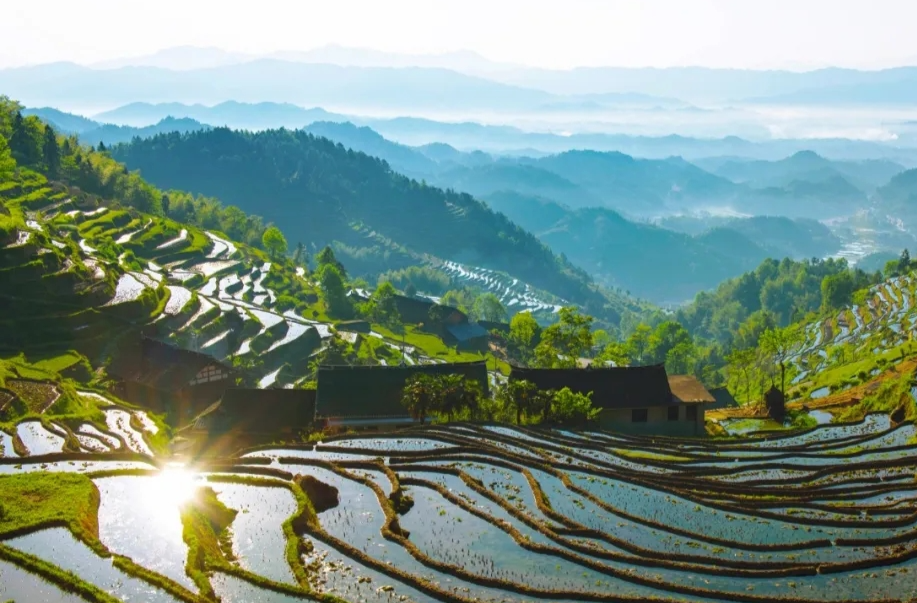 9月相約新化紫鵲界！千年梯田邀世界共話農(nóng)耕文明新篇