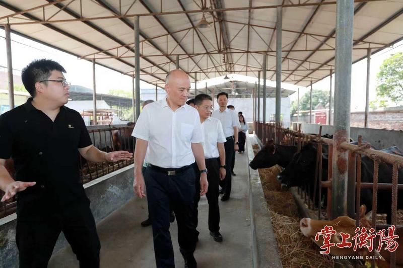 刘越高：坚决夺取防汛抗旱和粮食丰收双胜利，为全市经济社会高质量发展提供坚实支撑
