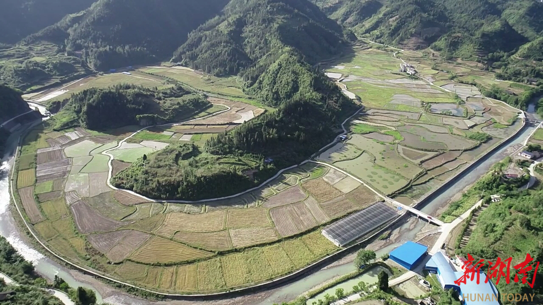 永顺高标准农田绘就振兴图@湖南日报市州头条
