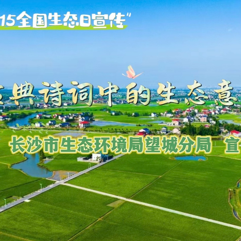 8.15全國(guó)生態(tài)日：跟著古典詩(shī)詞游生態(tài)望城