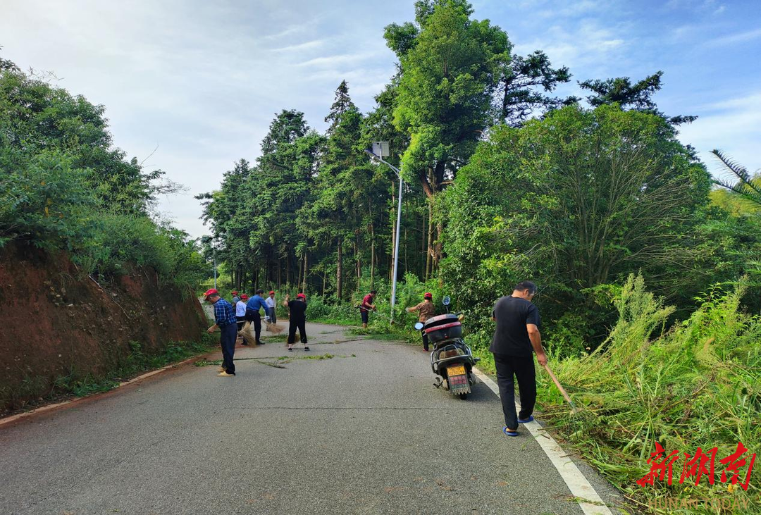 长沙黄金园街道英雄岭村：开展“防控蚊虫”爱国卫生大扫除活动