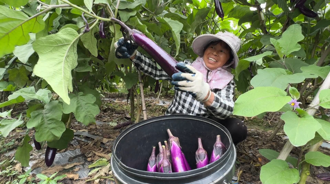 江永农业绿色发展案例入选全国典型，是湖南唯一入选案例