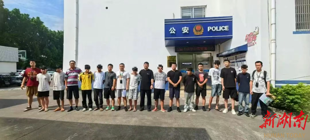 群聊里除了她 都是騙子