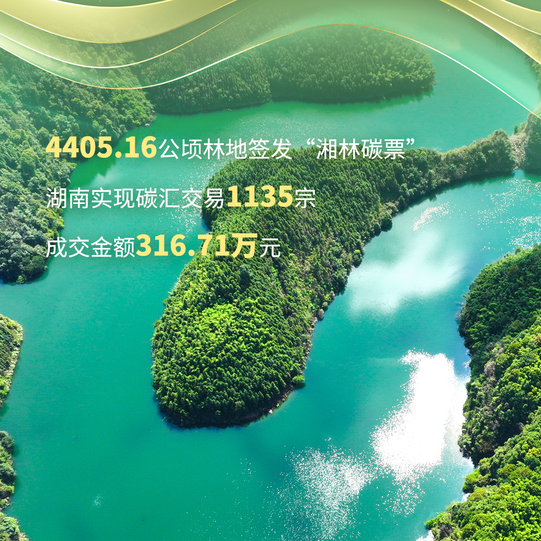 全國生態(tài)日｜綠金“變奏曲”④碳匯換金