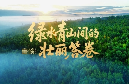 重磅微视频丨绿水青山间的壮丽答卷
