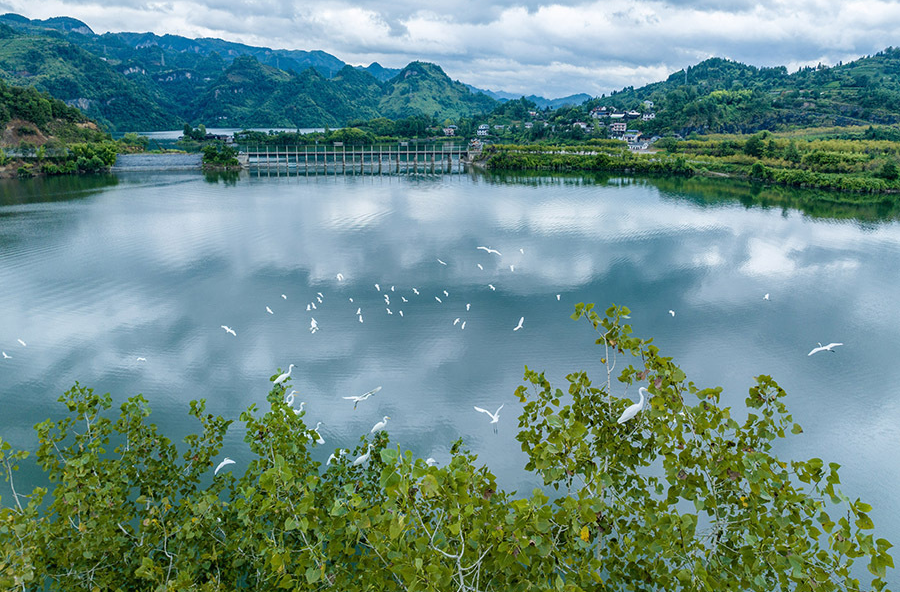 鷺舞湖光生態(tài)美