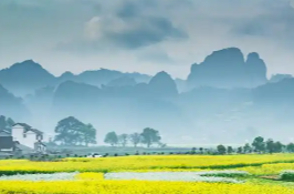 好評中國丨把綠水青山建得更美 把金山銀山做得更大