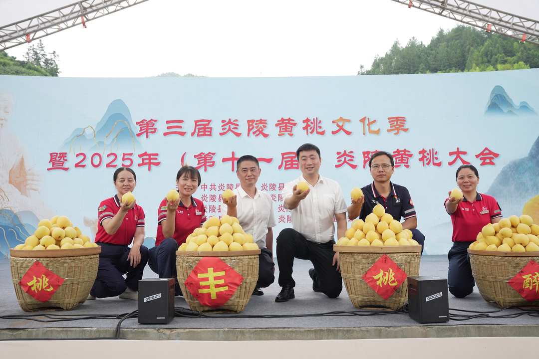 十年助農(nóng)路，萬噸黃金果！中石化湖南分公司助力炎陵黃桃香飄全國 