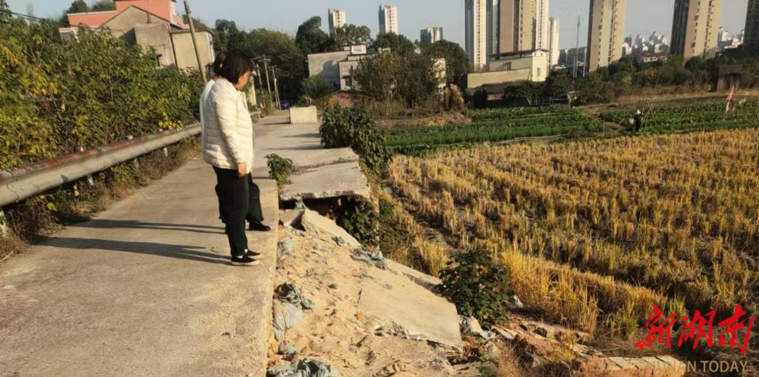 左干渠焕新记：人大代表为民解忧办实事