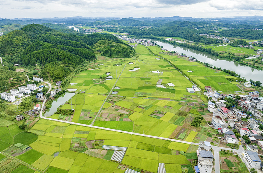 鄉(xiāng)村新畫卷