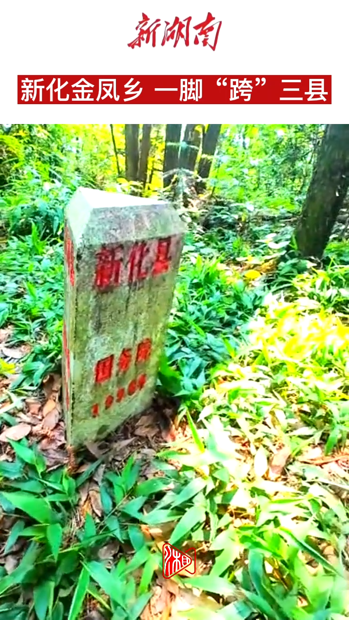 视频|新化金凤乡，一脚“跨”三县