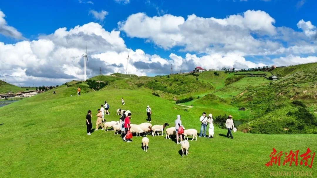 郴州避暑五座山·山山?jīng)鰶觫茇鎏旌蟛菰河鲆姟昂魝愗悹枴?還有詩和遠(yuǎn)方