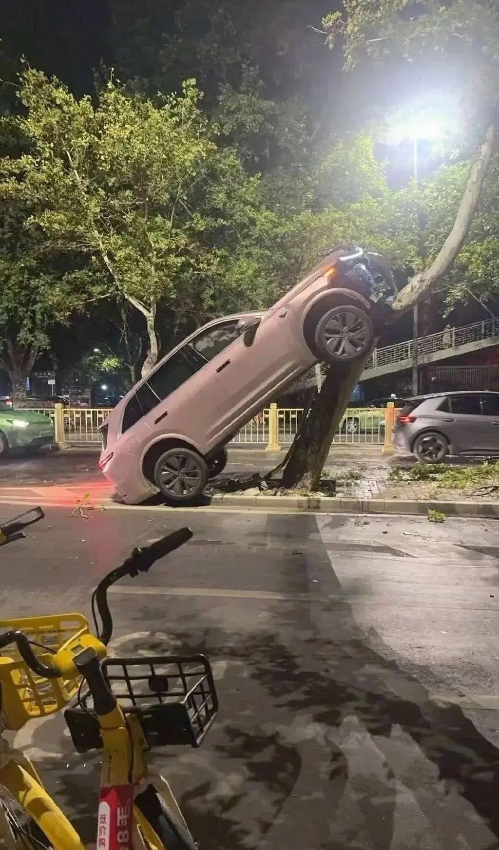 周末·通報丨“女子把新能源車開到樹上”：因操作不當(dāng)車輛發(fā)生碰撞，受傷送醫(yī)