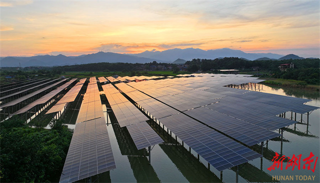 Fishery-solar Power Integration Projects Boost Green Development