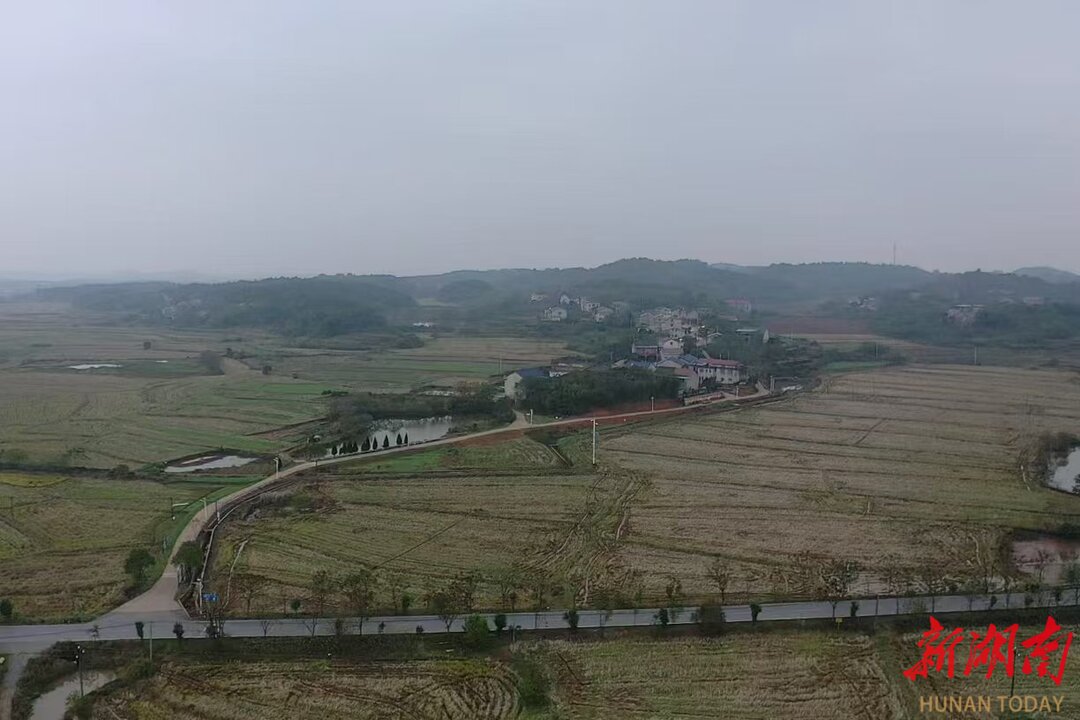 衡南：洪涝洼地变丰产良田