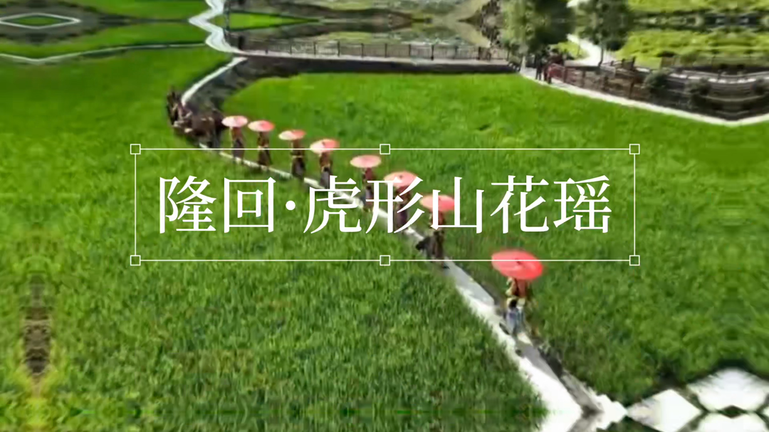 全國生態(tài)日｜綠金“變奏曲”③聚綠成金