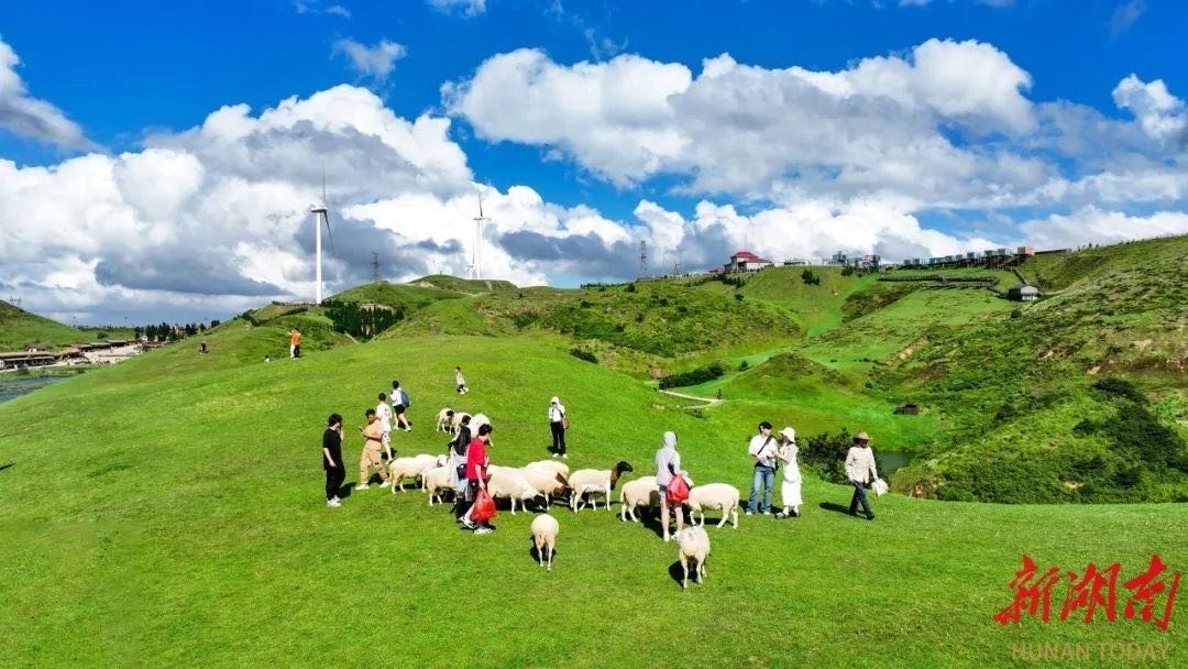 郴州避暑五座山·山山?jīng)鰶觫茇鎏旌蟛菰河鲆?jiàn)“呼倫貝爾” 還有詩(shī)和遠(yuǎn)方
