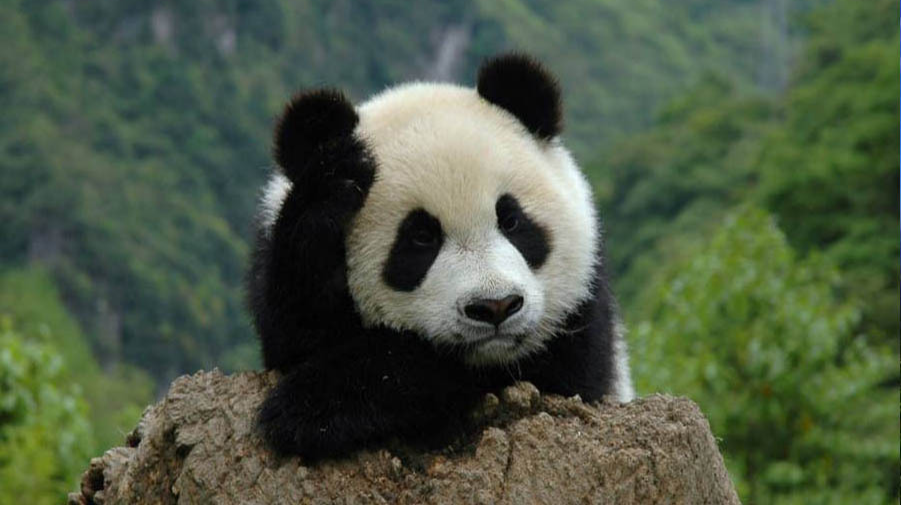 “首次”“首个”刷屏！这一周，科技含量太高了
