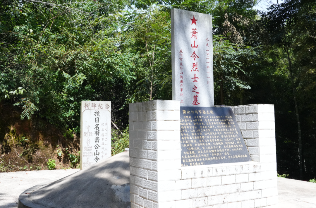 益阳日报丨你知道吗？南京保卫战中牺牲的最高指挥官是益阳人