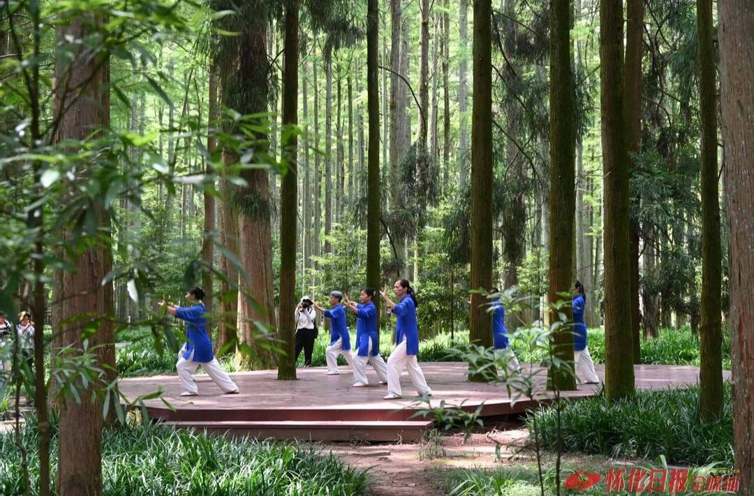 福地怀化 懂你如家｜​邂逅一场清凉与诗意的旅行——靖州排牙山景区见闻