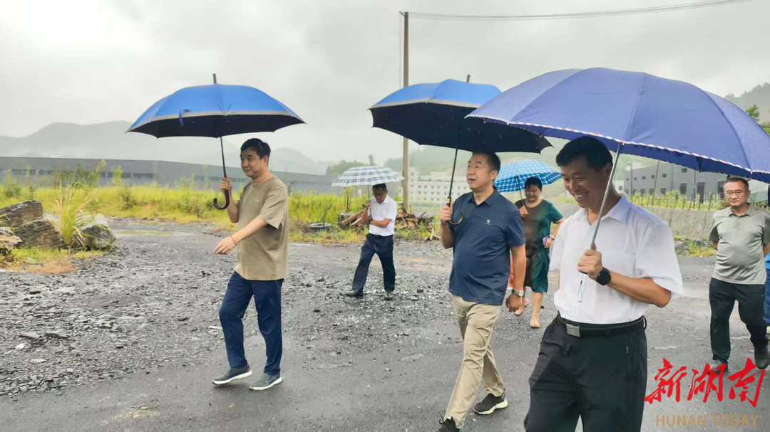 湘西州自然资源和规划局调研湘西高新区新材料产业园项目建设