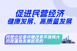 習(xí)近平總書記在民營(yíng)企業(yè)座談會(huì)上的講話（摘要）