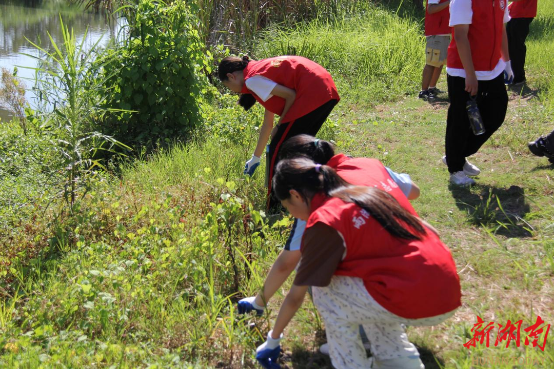 湘潭雨湖区河小青行动中心开展全国生态日净滩行动